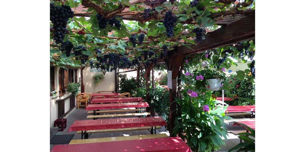 A cozy garden with tables under a pergola of vines. Flowering plants and wooden furniture create an inviting atmosphere., © Besenwirtschaft Gerhard Zaiß A cozy garden with tables under a pergola of vines. Flowering plants and wooden furniture create an inviting atmosphere., © Besenwirtschaft Gerhard Zaiß