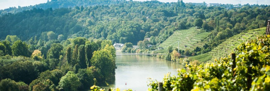 View of a river landscape with a bend, surrounded by green vineyards and dense forest., © Weingut Zaißerei