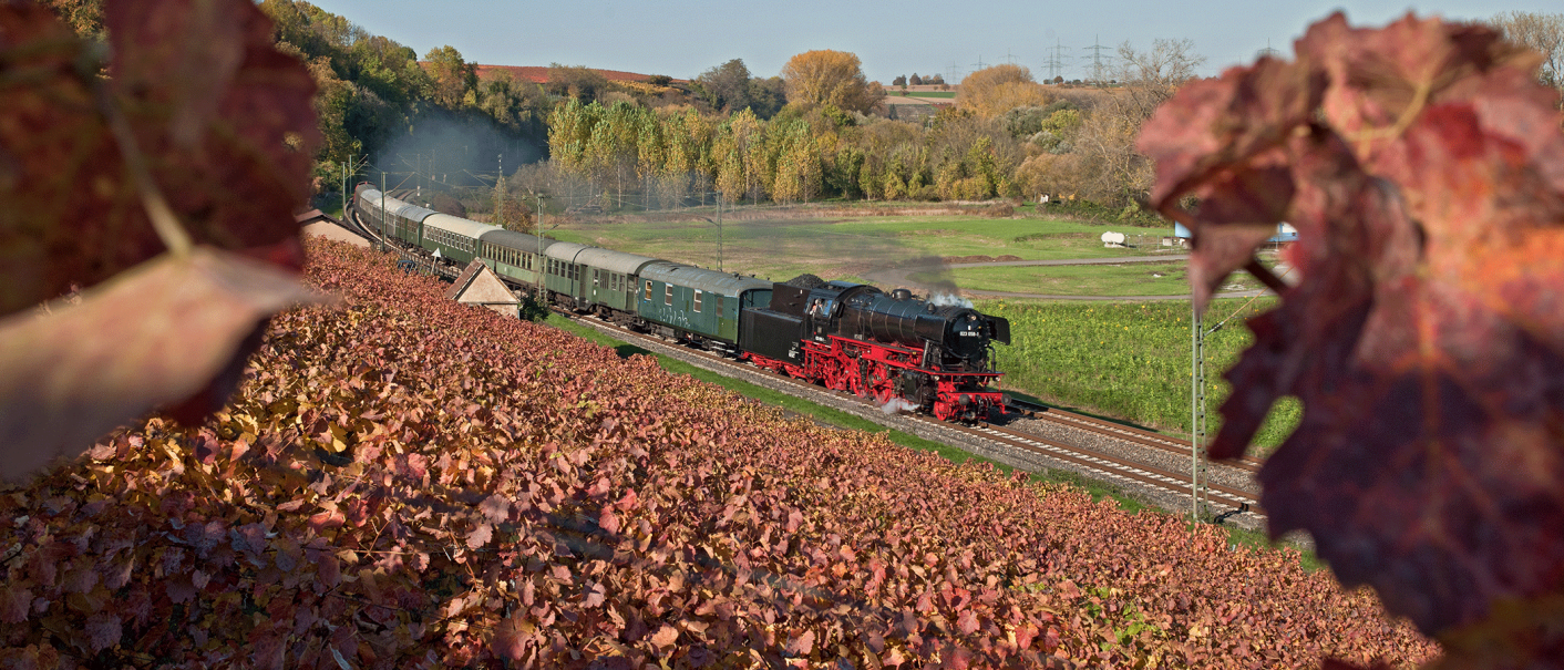 Eine Dampflok zieht einen Zug durch eine herbstliche Landschaft mit bunten Weinbergen und B&auml;umen., &copy; DBK Historische Bahn e.V.