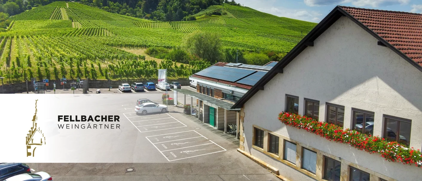 Fellbach Winegrowers, Winery, © Nicklas Santelli Fellbach Winegrowers, Winery, © Nicklas Santelli