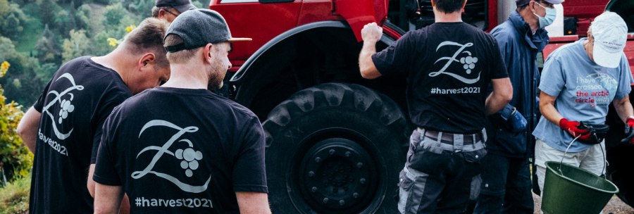 Menschen bei der Weinlese tragen T-Shirts mit "#harvest2021". Ein roter Traktor steht im Hintergrund. Eine Person h&auml;lt einen Eimer., &copy; Weingut Zai&szlig;