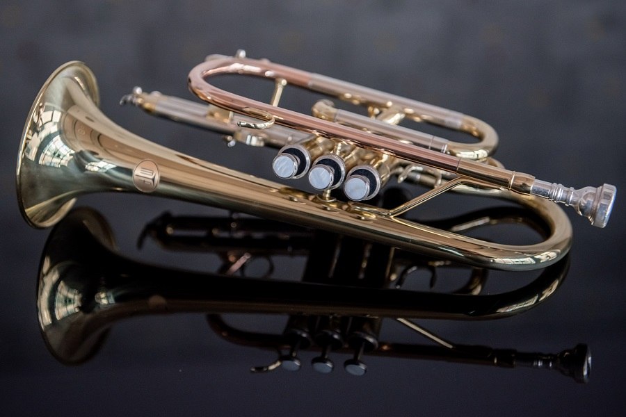 Das Ensemble Serenata ist ein Ensemble bestehend aus verschiedenen Blasmusikerinnen und Blasmusikern., &copy; Jens Volle