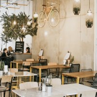 Modernes Café mit hängendem Fahrrad an der Wand, Pflanzen und gemütlichen Sitzbereichen. Menschen sitzen und unterhalten sich an Tischen., © Claus Stuttgart