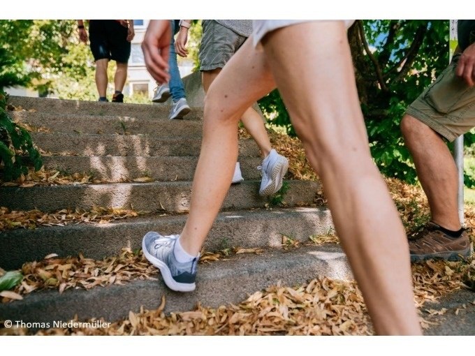Mehrere Personen steigen eine mit Laub bedeckte Steintreppe hinauf, umgeben von grüner Vegetation., © Stuttgart-Marketing GmbH, Thomas Niedermüller Mehrere Personen steigen eine mit Laub bedeckte Steintreppe hinauf, umgeben von grüner Vegetation., © Stuttgart-Marketing GmbH, Thomas Niedermüller