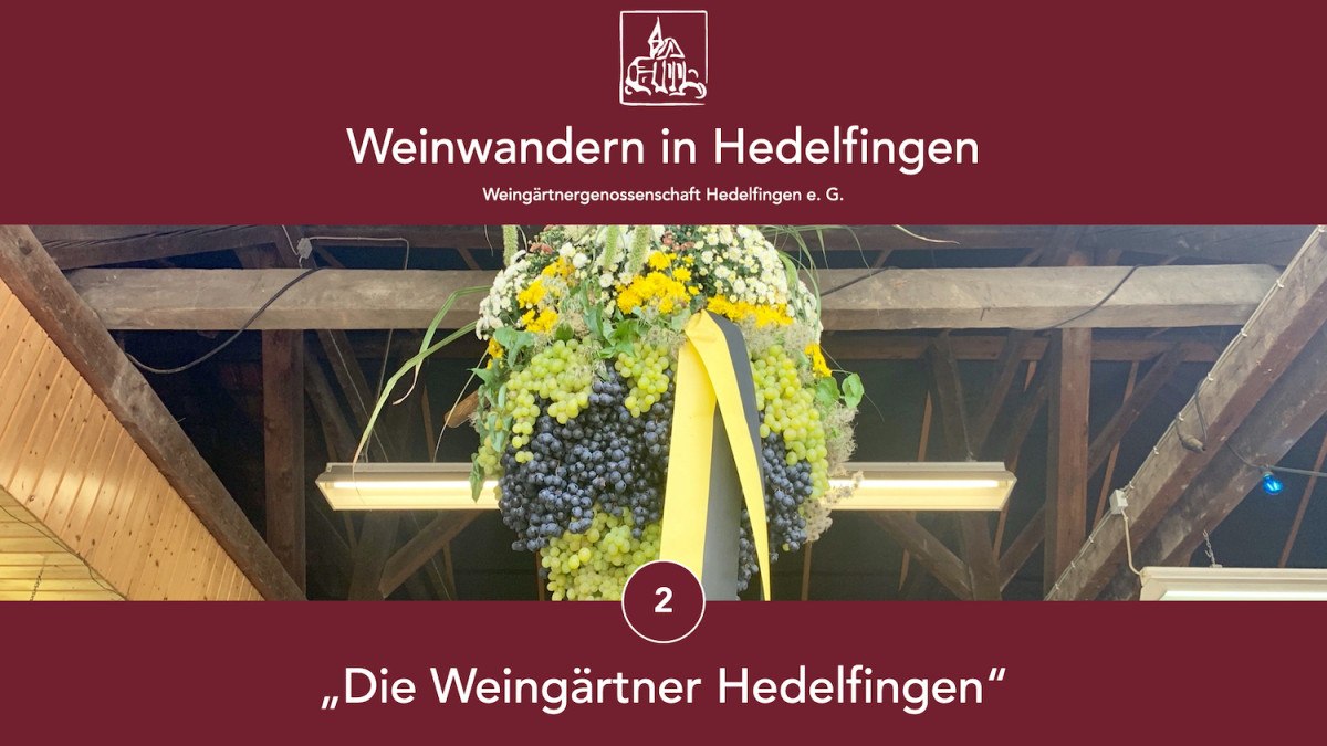 Trauben und Blumen hängen dekorativ in einer Scheune. Oben steht 'Weinwandern in Hedelfingen', unten 'Die Weingärtner Hedelfingen'., © Lukas Alperowitz Trauben und Blumen hängen dekorativ in einer Scheune. Oben steht 'Weinwandern in Hedelfingen', unten 'Die Weingärtner Hedelfingen'., © Lukas Alperowitz