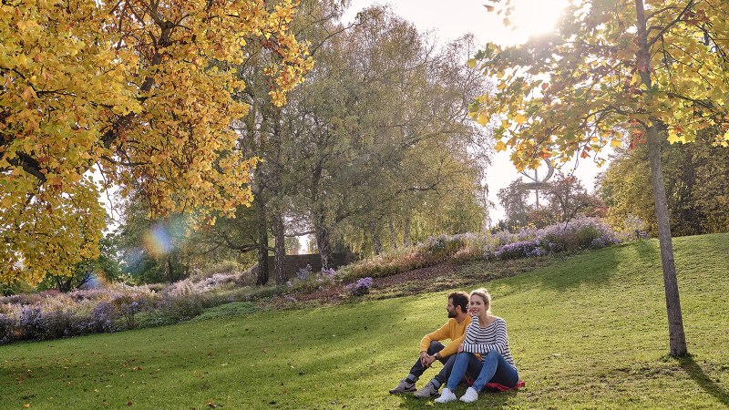 A couple is sitting on a meadow in Rosenstein Park, surrounded by autumnal trees and flowers. The sun is shining through the leaves., © SMG, Christoph Düpper A couple is sitting on a meadow in Rosenstein Park, surrounded by autumnal trees and flowers. The sun is shining through the leaves., © SMG, Christoph Düpper