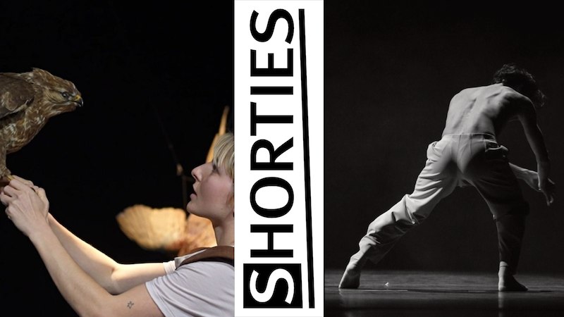 © FITZ Das Theater animierter Formen