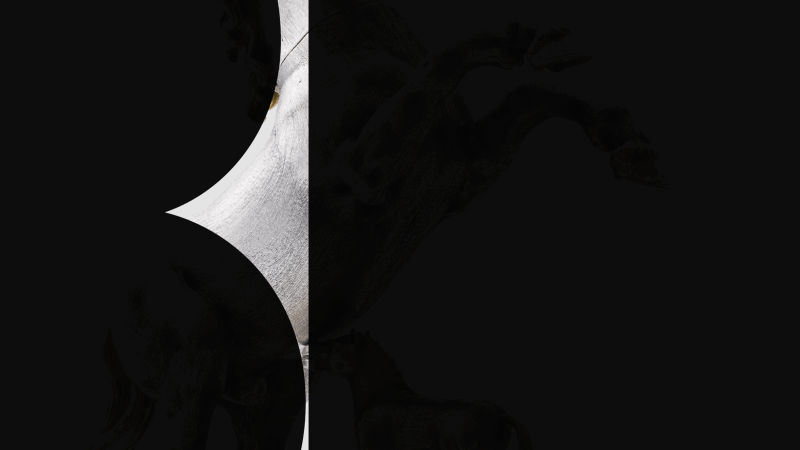 Ein abstraktes Bild zeigt ein Pferd in Schwarz-Weiß, umgeben von geometrischen Formen. Die Komposition wirkt modern und künstlerisch., © StadtPalais Ein abstraktes Bild zeigt ein Pferd in Schwarz-Weiß, umgeben von geometrischen Formen. Die Komposition wirkt modern und künstlerisch., © StadtPalais