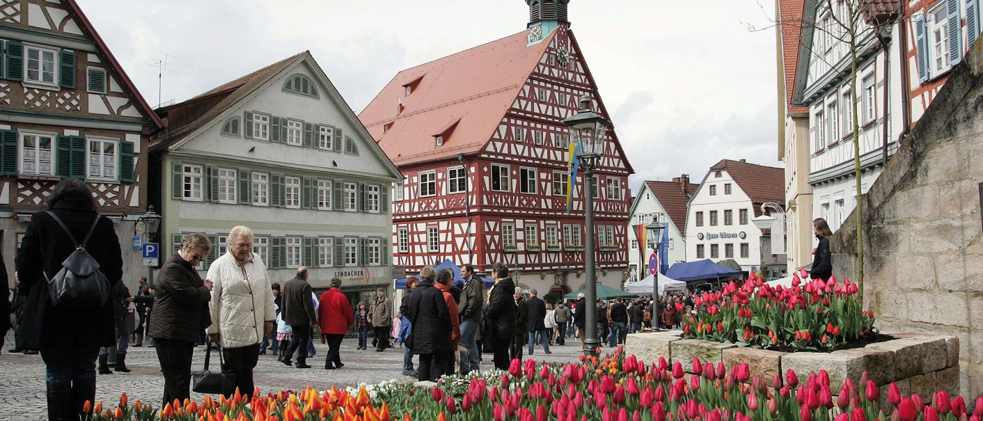 The historic town hall in Backnang with half-timbered houses and colorful flowerbeds. People stroll around the square., © Backnang