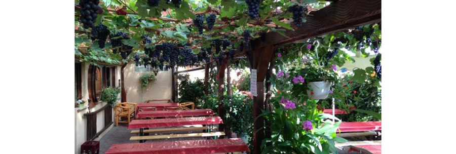 A cozy garden with tables under a pergola of vines. Flowering plants and wooden furniture create an inviting atmosphere., &copy; Besenwirtschaft Gerhard Zai&szlig;
