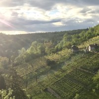 Sunset over a vineyard in the D&uuml;rrbach Valley. The sun shines over the hills, while small huts stand among the vines., &copy; Vintage Winery Stuttgart