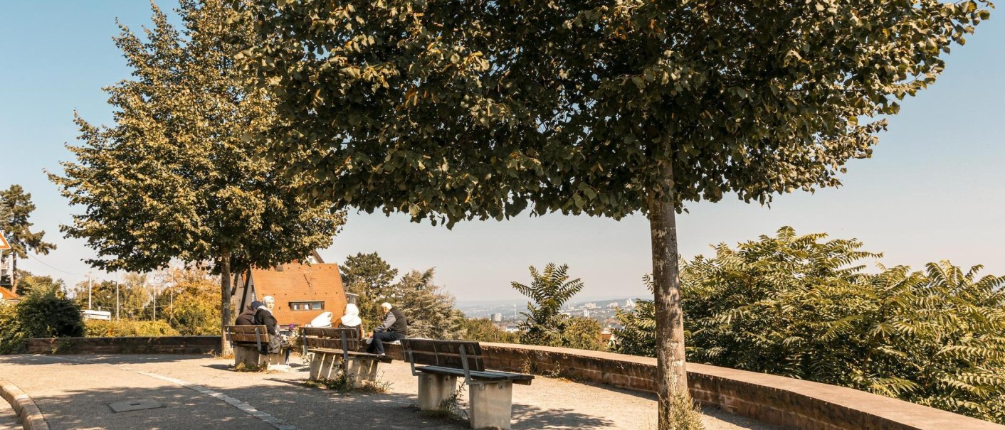 Menschen sitzen auf Bänken unter schattigen Bäumen auf einer Aussichtsplattform mit Blick auf die Stadt im Hintergrund., © Stuttgart Marketing GmbH, Sarah Schmid Menschen sitzen auf Bänken unter schattigen Bäumen auf einer Aussichtsplattform mit Blick auf die Stadt im Hintergrund., © Stuttgart Marketing GmbH, Sarah Schmid