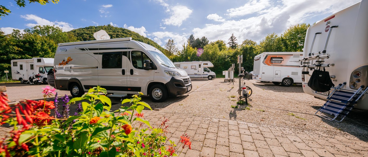 Wohnmobilstellplatz mit mehreren Wohnmobilen, umgeben von grüner Natur. Bunte Blumen im Vordergrund, blauer Himmel mit Wolken., © Stuttgart-Marketing GmbH, Thomas Niedermüller Wohnmobilstellplatz mit mehreren Wohnmobilen, umgeben von grüner Natur. Bunte Blumen im Vordergrund, blauer Himmel mit Wolken., © Stuttgart-Marketing GmbH, Thomas Niedermüller