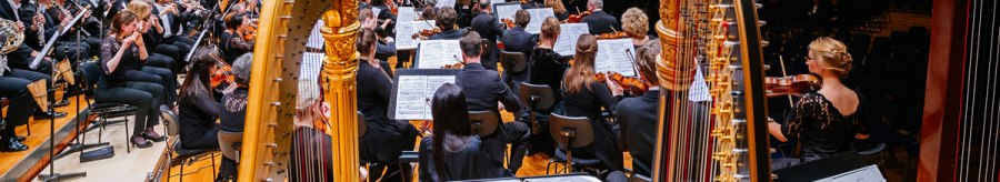 An orchestra plays on a stage, with two harps in the foreground. The conductor stands in front of the musicians, who are reading sheet music., &copy; Stuttgarter Philharmoniker