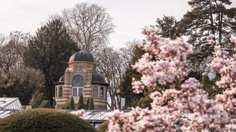 Wilhelma Magnolienbl&uuml;te, &copy; Stuttgart-Marketing GmbH, Sarah Schmid