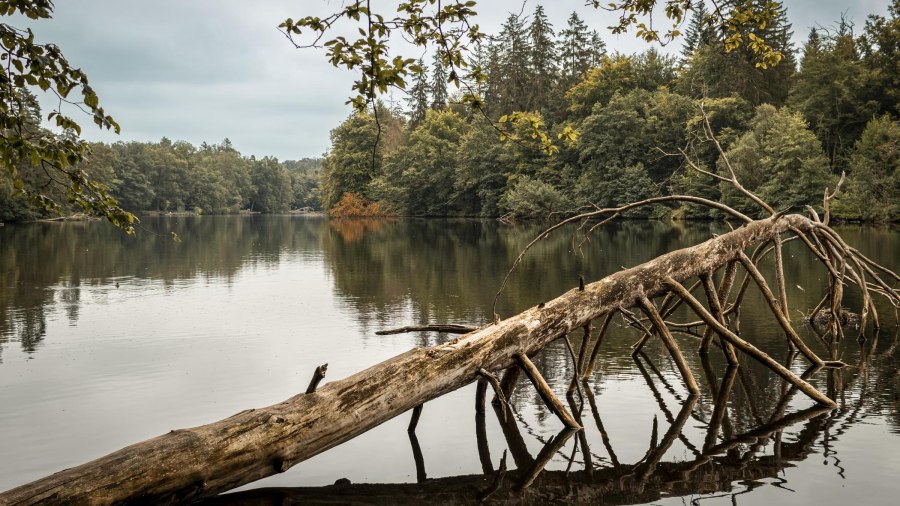 Pfaffensee, © Stuttgart-Marketing GmbH, Sarah Schmid