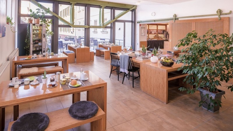 Bright breakfast room with wooden tables, plants and large windows. Cozy atmosphere with laid tables and cushions., © ECOINN Hotel am Campus Bright breakfast room with wooden tables, plants and large windows. Cozy atmosphere with laid tables and cushions., © ECOINN Hotel am Campus