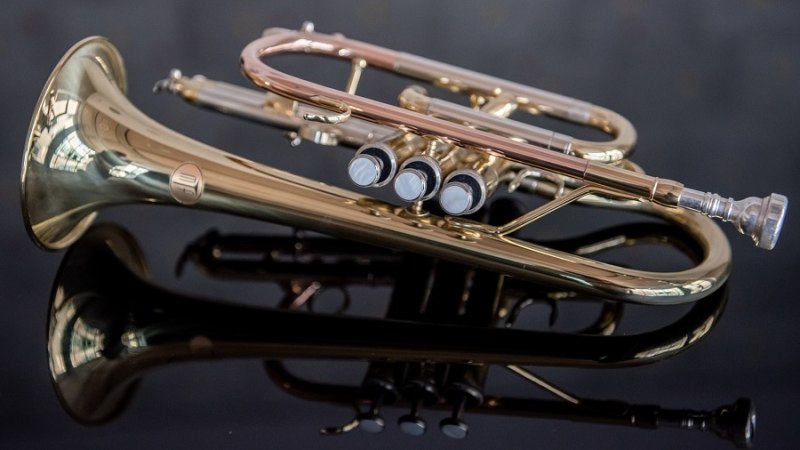 Das Ensemble Serenata ist ein Ensemble bestehend aus verschiedenen Blasmusikerinnen und Blasmusikern., &copy; Jens Volle