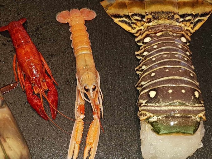 Three seafood on a black background: a red crab, a light-colored lobster tail and another crab. Ideal for a cooking class., &copy; Kultweine-Kochwelten-Kunst&uuml;cke - Kochschule Sonja Lenz
