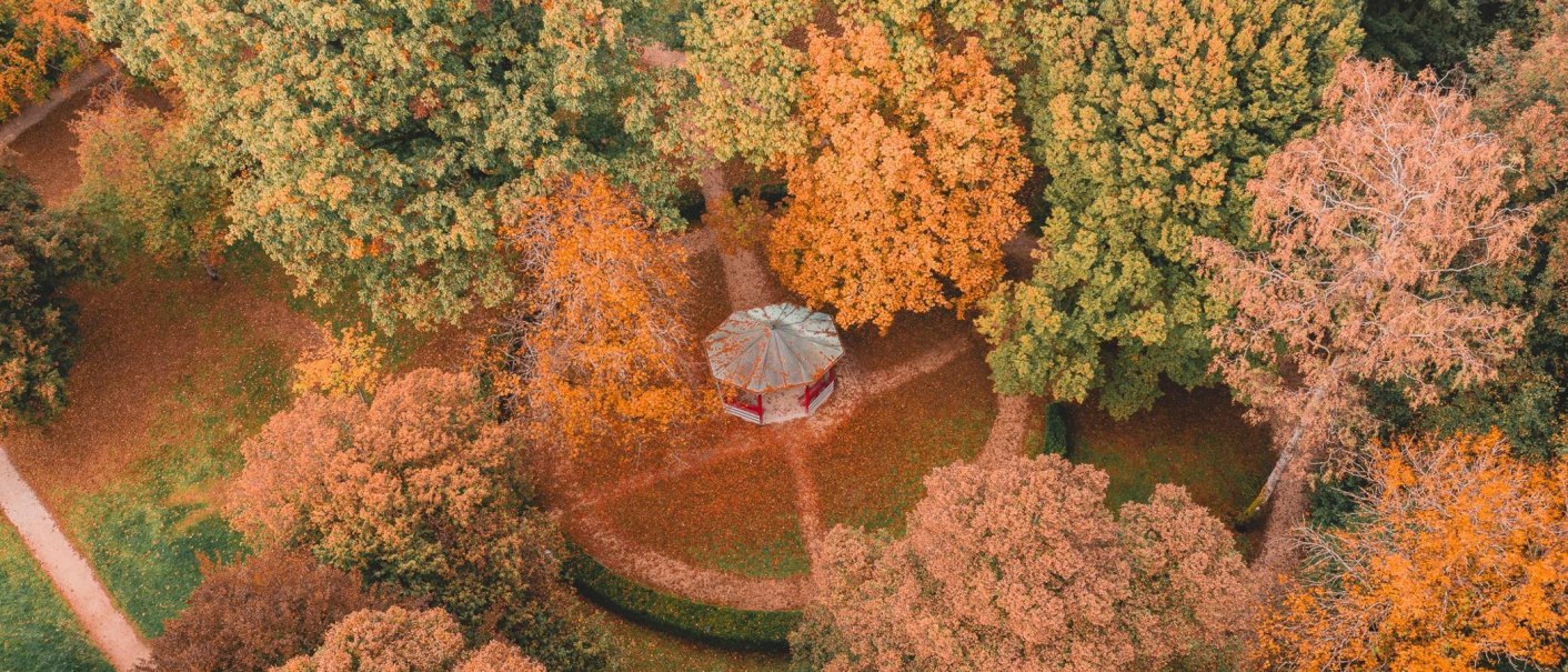 An aerial view of an autumnal city park with colorful trees and a pavilion in the center. The paths are covered with fallen leaves., &copy; Sandra Bihlmaier - Stadt Welzheim