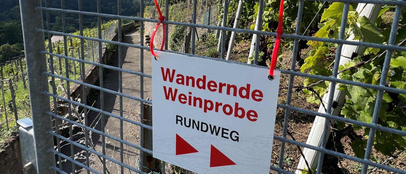 Schild mit der Aufschrift 'Wandernde Weinprobe Rundweg' an einem Gitterzaun vor Weinreben., © Frank Nonnenmann Schild mit der Aufschrift 'Wandernde Weinprobe Rundweg' an einem Gitterzaun vor Weinreben., © Frank Nonnenmann
