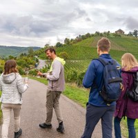 Menschen wandern auf einem Weinweg, halten Weingläser. Im Hintergrund Weinberge und die Grabkapelle auf einem Hügel., © Stuttgart-Marketing GmbH, Martina Denker