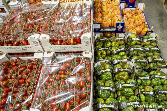 Verschiedene Tomatensorten in Kisten auf einem Markt. Links rote Tomaten, rechts grüne und orange Tomaten in Verpackungen., © Stuttgart Marketing GmbH
