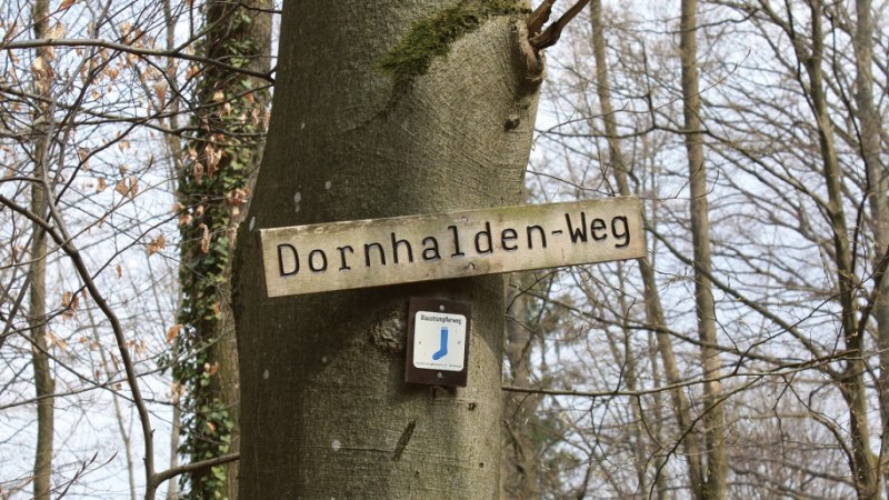 Holzschild 'Dornhalden-Weg' an einem Baum im winterlichen Wald befestigt., © Stuttgart-Marketing GmbH