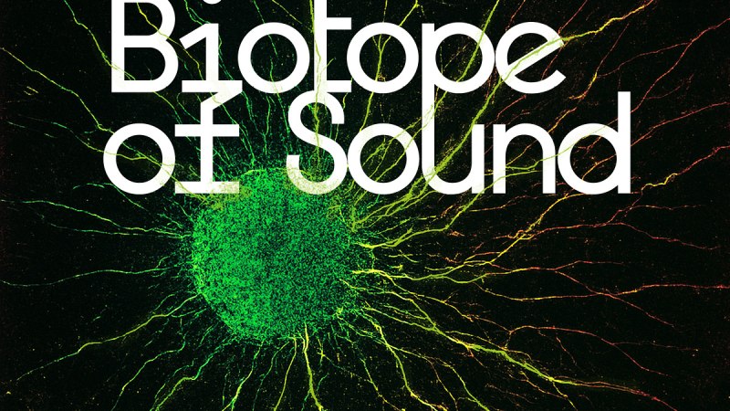 Biotope of Sound, © Design: Denise Kurkowski Biotope of Sound, © Design: Denise Kurkowski