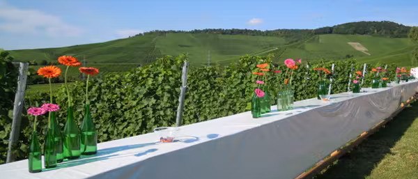 Weinmeile, © Collegium Wirtemberg
