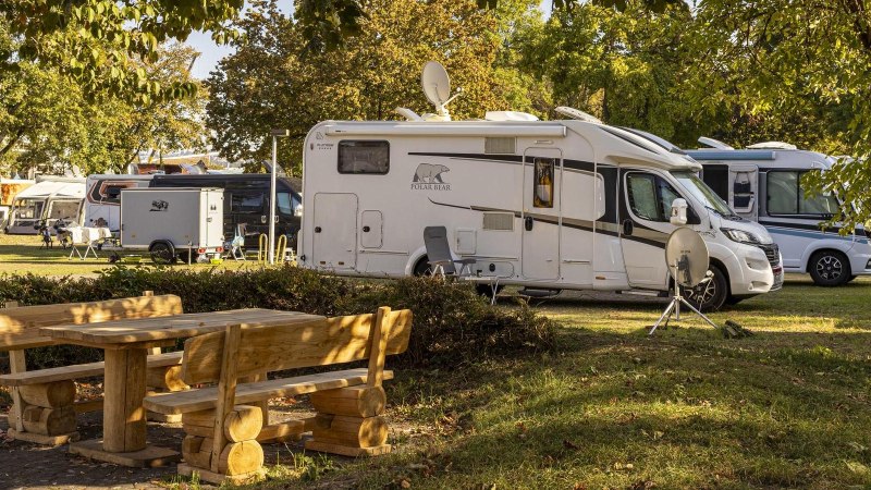 Wohnmobile auf einem sonnigen Campingplatz, umgeben von Bäumen. Im Vordergrund steht ein Holztisch mit Bänken., © Stuttgart-Marketing GmbH, Sarah Schmid