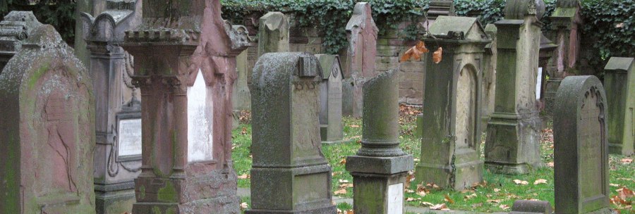 Old, weathered gravestones in the Hoppenlau cemetery, surrounded by autumn leaves and ivy on a wall., © SMG