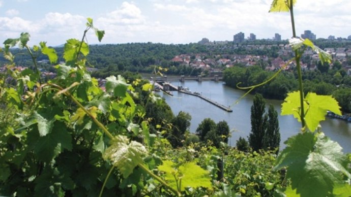 Weinreben im Vordergrund, dahinter ein Fluss mit Brücke und eine Stadtlandschaft unter blauem Himmel., © Stuttgart-Marketing GmbH Weinreben im Vordergrund, dahinter ein Fluss mit Brücke und eine Stadtlandschaft unter blauem Himmel., © Stuttgart-Marketing GmbH