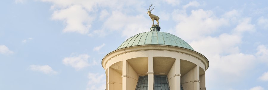 Dome of a building with a deer statue on the roof. The sky is blue with a few clouds., &copy; Simon Sommer