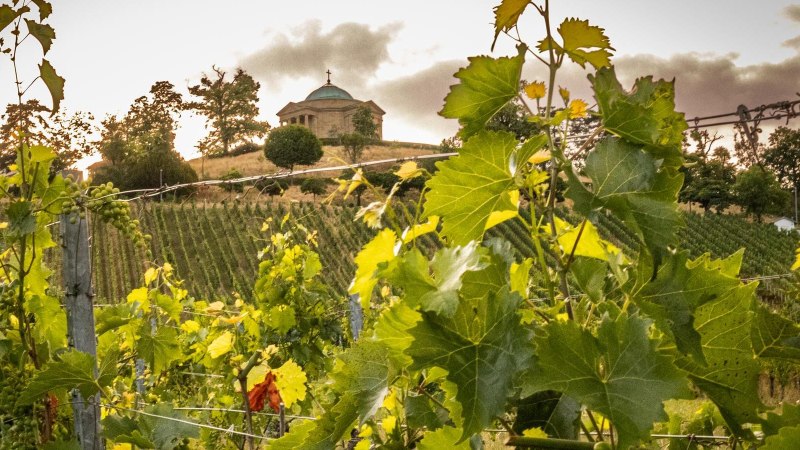 Wine Yards by the Sepulchral Chapel on W&uuml;rttemberg Hill, &copy; Stuttgart-Marketing GmbH, Sarah Schmid