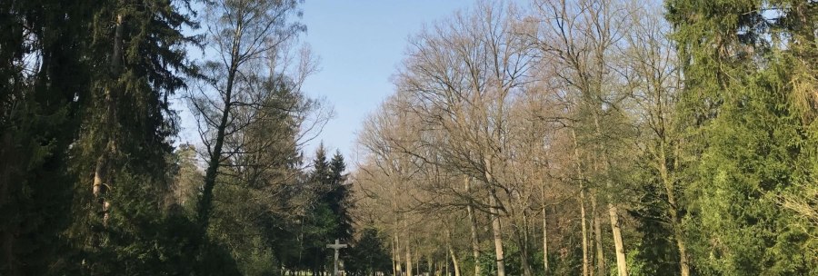 A woodland cemetery with a green meadow surrounded by tall trees. A large cross can be seen in the background., © Stuttgart-Marketing GmbH A woodland cemetery with a green meadow surrounded by tall trees. A large cross can be seen in the background., © Stuttgart-Marketing GmbH