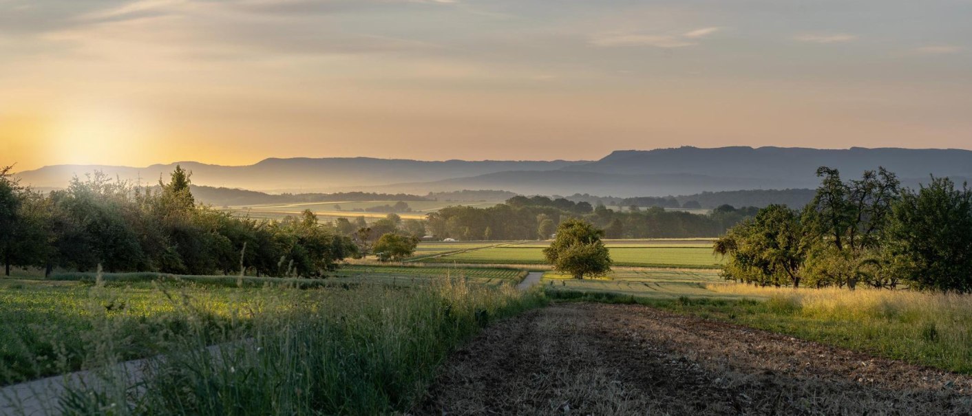 Sunset over an idyllic landscape in Filderstadt, with fields, trees, and rolling hills in the background., © © Stuttgart-Marketing GmbH, Martina Denker Sunset over an idyllic landscape in Filderstadt, with fields, trees, and rolling hills in the background., © © Stuttgart-Marketing GmbH, Martina Denker