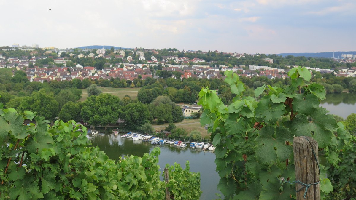 Vines in the foreground, behind them Lake Max-Eyth with boats. A housing estate and wooded hills in the background., &copy; Stuttgart-Marketing GmbH