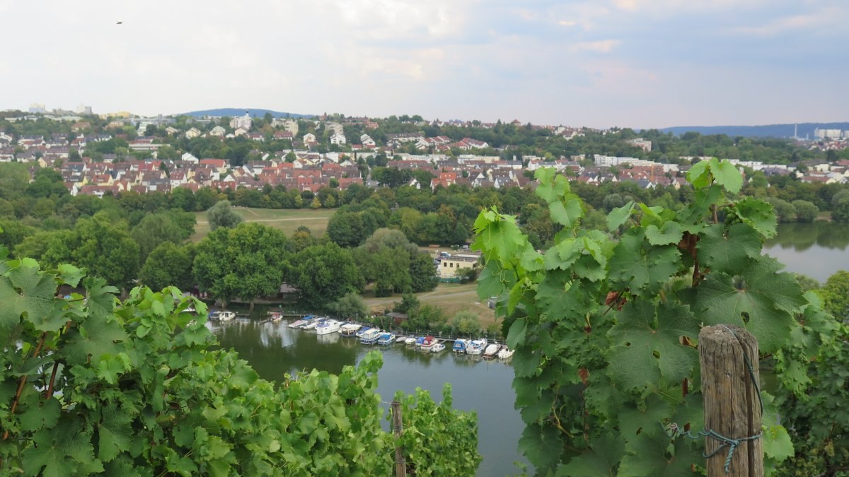 Weinreben im Vordergrund, dahinter der Max-Eyth-See mit Booten. Im Hintergrund eine Wohnsiedlung und bewaldete Hügel., © Stuttgart-Marketing GmbH Weinreben im Vordergrund, dahinter der Max-Eyth-See mit Booten. Im Hintergrund eine Wohnsiedlung und bewaldete Hügel., © Stuttgart-Marketing GmbH