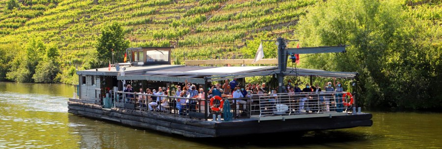 A boat full of people sails on a river alongside a green vineyard in sunny weather., © Stuttgart-Marketing GmbH