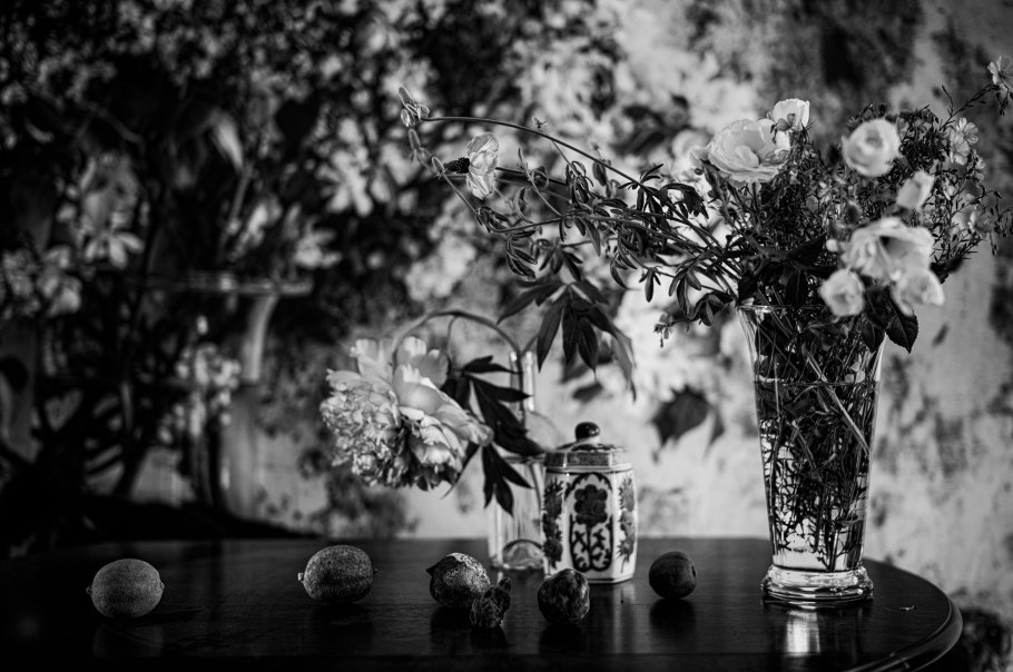 Monochrome 2, &copy; Vera Mercer