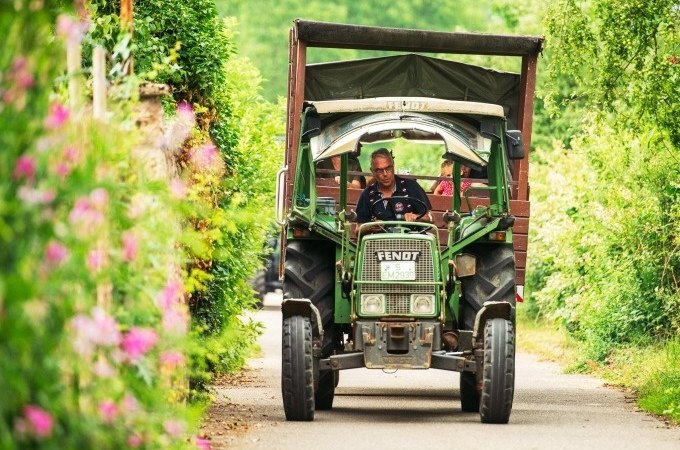 Ein grüner Fendt-Traktor fährt auf einem schmalen Weg, umgeben von blühenden Büschen und grüner Vegetation., © Cool-Tours StattReisen