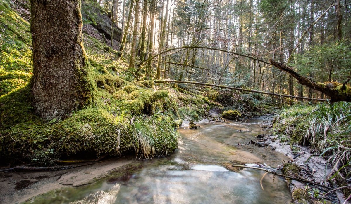 Sulzbach-Laufen_Wasserwelt Sulzbach-Laufen_Wasserwelt