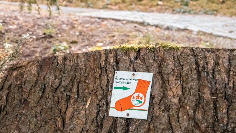 Schild mit roter Socke auf Baumstumpf im Wald, markiert den NaturFreunde-Weg Stuttgart-S&uuml;d., &copy; Stuttgart Marketing GmbH, Sarah Schmid