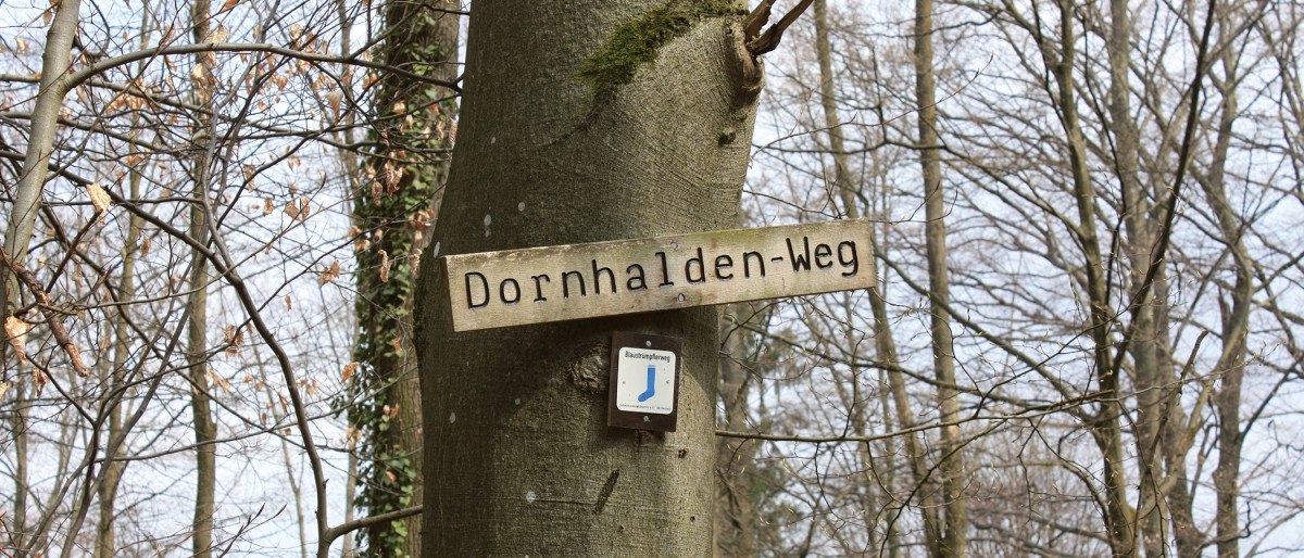 Wooden sign 'Dornhalden-Weg' attached to a tree in the wintry forest., © Stuttgart-Marketing GmbH Wooden sign 'Dornhalden-Weg' attached to a tree in the wintry forest., © Stuttgart-Marketing GmbH