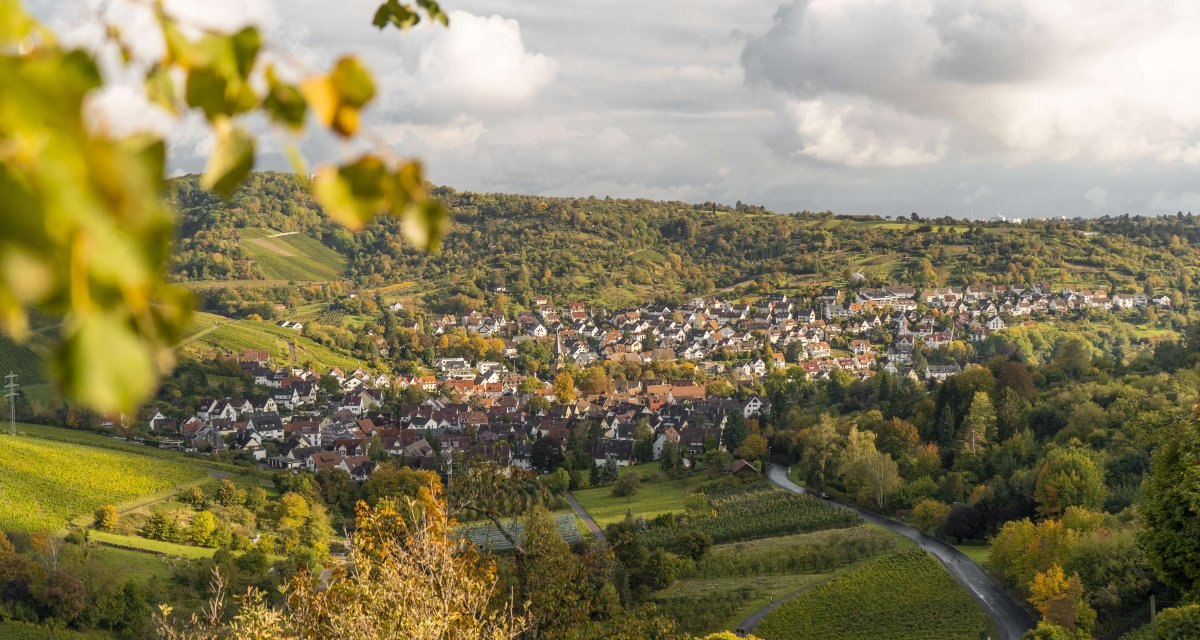 Blick auf Rotenberg mit Weinbergen, Häusern und grünen Hügeln unter bewölktem Himmel., © Stuttgart-Marketing GmbH, Kommwirmachendaseinfach.de/Nicole Hagemann Blick auf Rotenberg mit Weinbergen, Häusern und grünen Hügeln unter bewölktem Himmel., © Stuttgart-Marketing GmbH, Kommwirmachendaseinfach.de/Nicole Hagemann