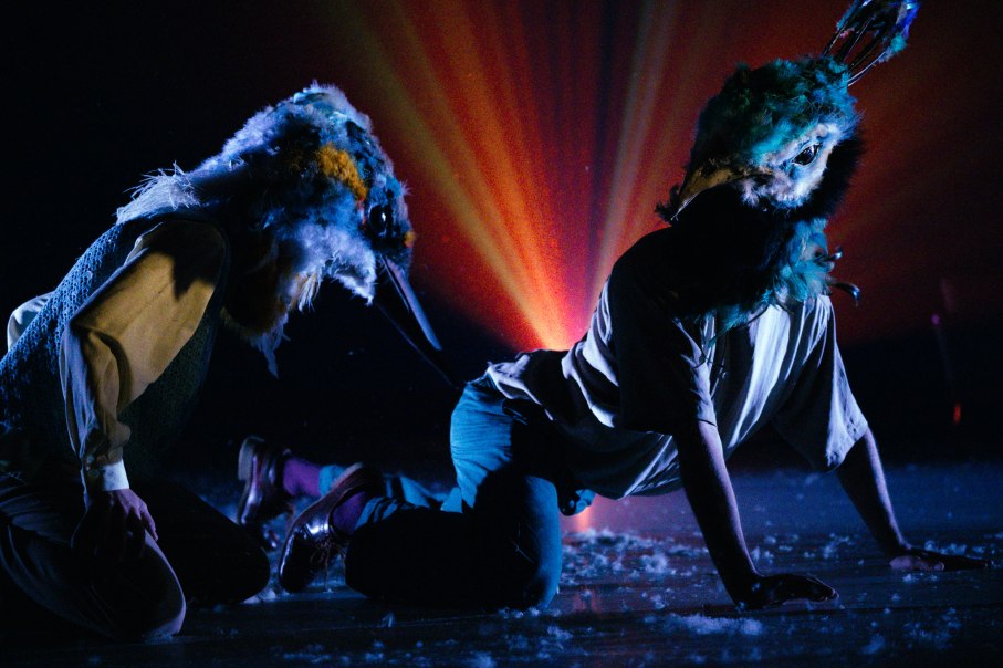 BIRDSLAND, &copy; Nicolas Clausen