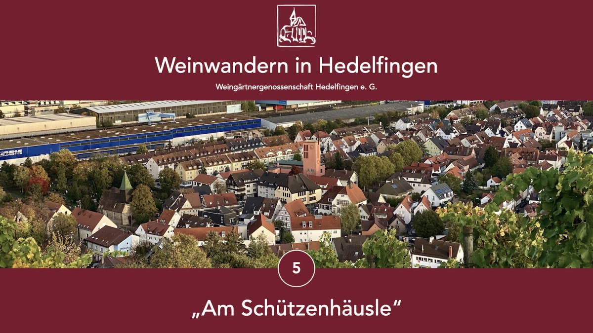Panoramablick auf Hedelfingen mit Weinbergen im Vordergrund. Der Titel "Weinwandern in Hedelfingen" und "Am Schützenhäusle" sind eingeblendet., © Lukas Alperowitz Panoramablick auf Hedelfingen mit Weinbergen im Vordergrund. Der Titel "Weinwandern in Hedelfingen" und "Am Schützenhäusle" sind eingeblendet., © Lukas Alperowitz