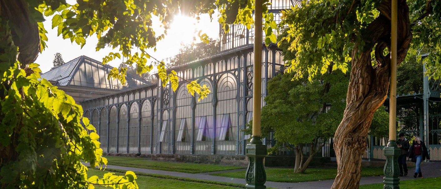 Das Gewächshaus der Wilhelma im Sonnenlicht, umgeben von grünen Bäumen und einem geschwungenen Baumstamm im Vordergrund., © Stuttgart-Marketing GmbH, Martina Denker