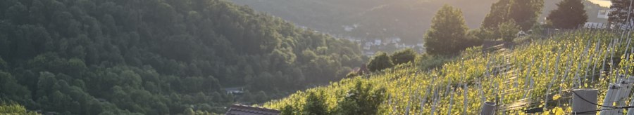 Ein Weinberg am Schimmelhüttenweg bei Sonnenuntergang. Im Hintergrund sind bewaldete Hügel und ein kleines Haus zu sehen., © weinvomhaigst Ein Weinberg am Schimmelhüttenweg bei Sonnenuntergang. Im Hintergrund sind bewaldete Hügel und ein kleines Haus zu sehen., © weinvomhaigst